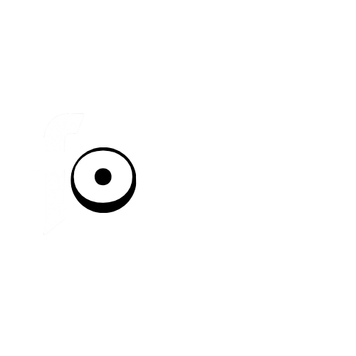 FOCUS — Photo / Vidéo / Live Streaming / Studio